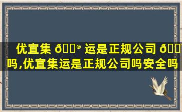 优宜集 💮 运是正规公司 🐯 吗,优宜集运是正规公司吗安全吗